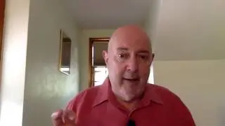 The Brain, the Gut and the Immune System. Part 2
