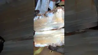 Big Agate Cut Open!