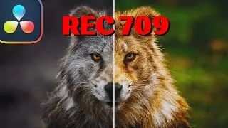 Make Your REC 709 Footage POP: Beginner's Guide to DaVinci Resolve Color Grading