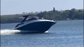 MESTRA 322