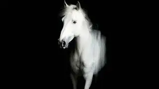 [free] YEAT x KANYE WEST x A DANGEROUS LYFE type beat 