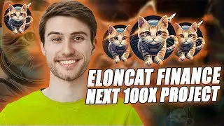ELON CAT FINANCE NEXT 1000X PROJECT REVIEW 2024