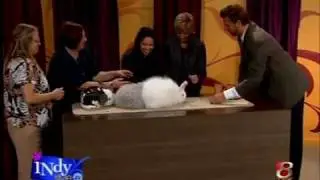 RABBIT FEVER - Indy Style Morning Show - Channel 8 (WISH-TV)