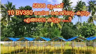 5000 രൂപക്ക് 10 കോഴിയും ഹൈടെക് കൂടും എങ്ങനെ കിട്ടും എന്നറിയാൻ. How to get 5000 rs cage + 10 bv 380.