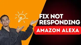 Amazon Echo / Alexa Not Responding &ndash; How to Fix - SIMPLE FIX