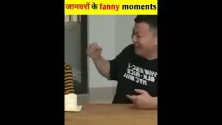जानवरों के funny movements 😂 #shorts #funnyvideo #dog #funnydogs  #devilparrot