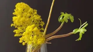 ABC FLORAL DESIGN 31. Golden Glow: Creative Yellow Succulent Flower Arrangement Ideas