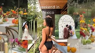 mexico owes me nothing! | travel vlog, endless drinks, enchanting wedding, and more!