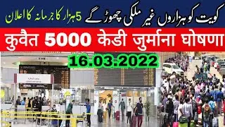 Kuwait news today | kuwait ministry new announcements | kuwait suicide case increase in 70 days