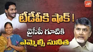 TDP MLC Sunitha Joining YSRCP? | YS Jagan | Chandrababu Naidu | AP Council | YOYO TV Channel