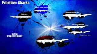 Sixgill Sharks
