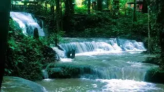 💤💧 Soothing Waterfall Piano Therapy for Emotional Healing, Mental Clarity & a Deep Restful Sleep