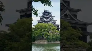 japan visit#trendingshorts #shorts #viralvideo #japan #japantravel #spring #season #flowers #2025 !!