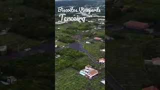 Terceira: Biscoitos Vineyards