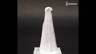 Aluminium and Mercury. Chemical Reaction.