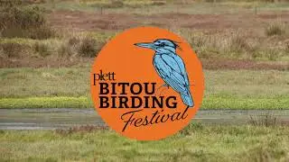 Bitou Birding Festival Promo 2025