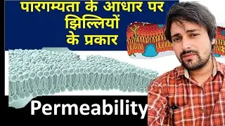 permeability and cell membrane types in hindi || पारगम्यता के आधार पर कोशिका झिल्लियों के प्रकार