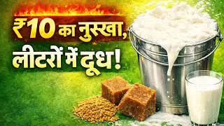 ₹ 10 का नुस्खा , पशुपालकों  के लिए वरदान.. 💯✅️#dairyfarmingindia #dairyfarm @VeterinaryTipsByAshish