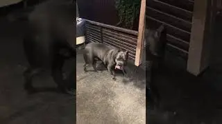 Титан в это время с папой в хозблоке был, музыку слушал 🤣🤣🤣
