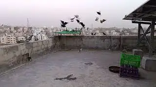 كشينا حبتين أجداد 🙂✌️