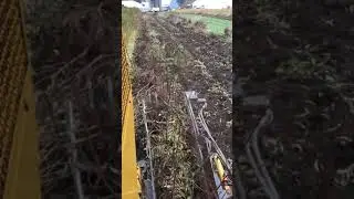 Digging Bare-Root Fruit Trees with Tree Digger