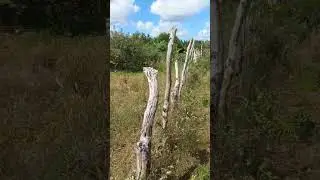 Bahia sítio do zero  EP01