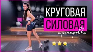 Круговая тренировка на все тело в домашних условиях | sindirina1