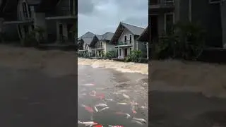 Kawasan Jadi Kolam Ikan! Rumah Ambruk Diterjang Banjir 😱🏚️ #banjir