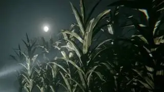 Outlast 2 cornfield chasing theme