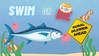 Tuna fish facts you didn't know