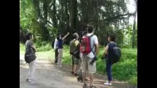 Bird Watching at Bukit Brown Cemetery
