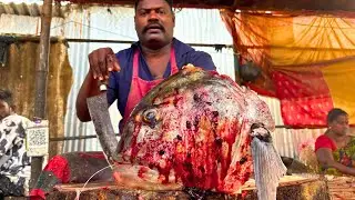 KASIMEDU SPEED SELVAM TREVALLY FISH 🐟 CUTTING VIDEO \ CUTTING FOCUS