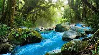 Relaxing Ambience for Sleep – Refreshing Forest River Flow for Mind Relaxation