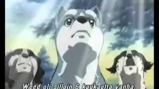 Ginga AMV: Superhero