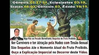 Diga N&atilde;o aos Pecados Gen&eacute;tico Heredit&aacute;rios das Sequelas do Fruto Proibido em Sua Vida.