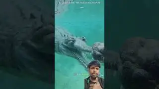 He Thought It Was a Rock&hellip; Then It Moved 😱
