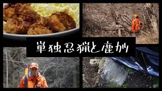 2025年最後の猟 ／ 単独忍び猟・ヤマドリ探し・鹿の痕跡・車破損・鹿カツ・ナスとミョウガの味噌