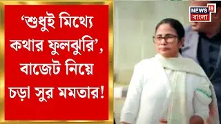 Union Budget 2026 | কেন্দ্রীয় বাজেটের তীব্র সমালোচনা Mamata-র, যা বললেন ! | Bangla News