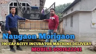 Nagaon ASSAM 360 capacity Incubator Machine Available ALL INDIA DELIVERY Nagaon /POULTRY FARM #viral
