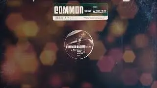 Common - The Light【432Hz】