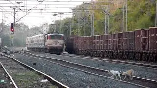 ET WAM-4 scares the doggies!!:O:O