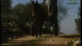 Orellana de la Sierra 
