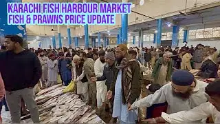 Fish and prawns price update karachi fish harbour January 25, 2026
