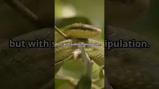 The Serpent Speaks in Eden | Genesis 3:1 Bible Breakdown and the Voice of Temptation.