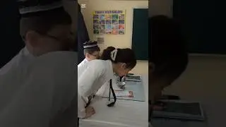 Kichik ustoz 