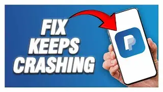 How To PayPal App Keeps Crashing | Working