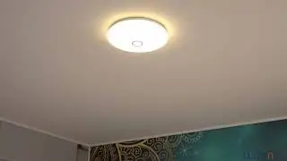 Philips LED ceiling light with motion sensor, warm white, 16W (Mauve)
