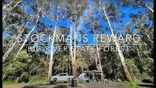 Stockmans Reward Bush Camping - Big River State Forest - Victoria