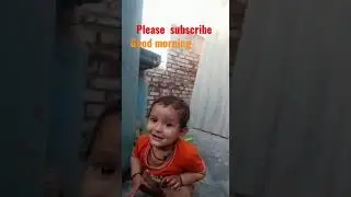 zoom bihar