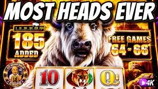 I got 66 Spins on Buffalo Chief & WON BIG!